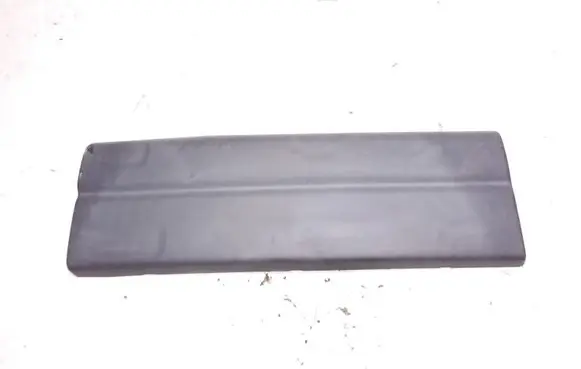 Rear door trim (molding)