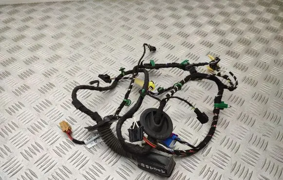 Volkswagen T-Roc Front door wiring loom 2GA971121BG