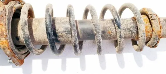 Rear coil spring