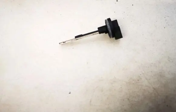 Interior temperature sensor