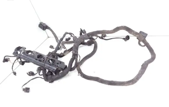 Engine installation wiring loom