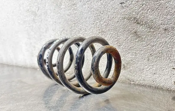 Opel Vectra C Rear coil spring