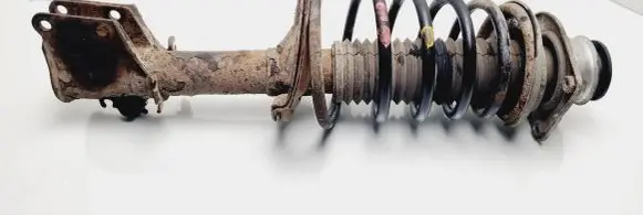 Fiat Doblo Front shock absorber with coil spring