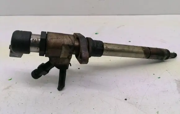Citroen C4 I Picasso Fuel injector 9658194180