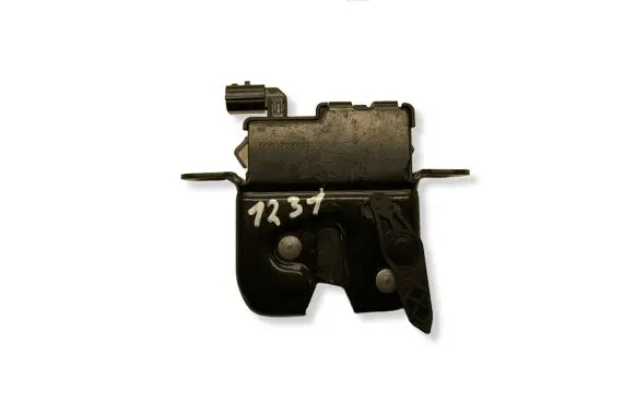 Dacia Sandero II Loading door lock 40707205