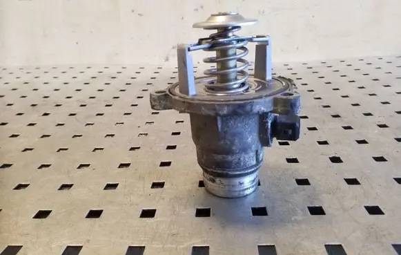 Thermostat/thermostat housing