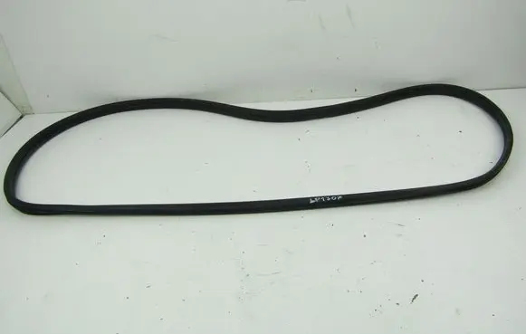 Renault Clio III Front door rubber seal 