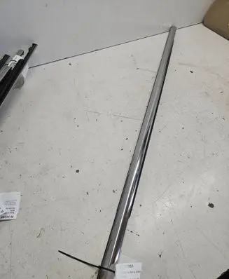 Hyundai Sonata Rear door glass trim molding 1234