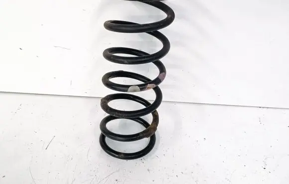 Rear coil spring