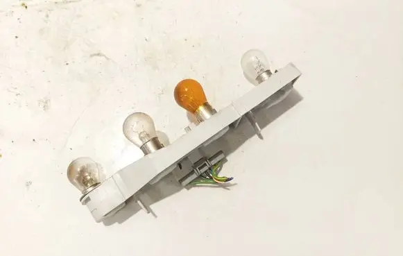 Ford Focus Tail light bulb cover holder
