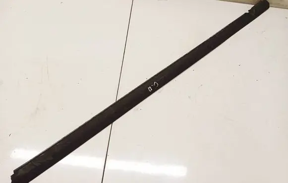 Ford Focus Rear door glass trim molding 