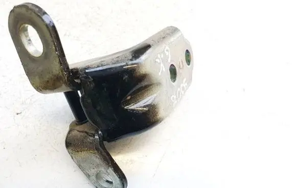 KIA EV6 Rear door lower hinge