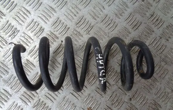 Rear coil spring