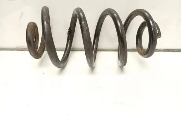 Rear coil spring