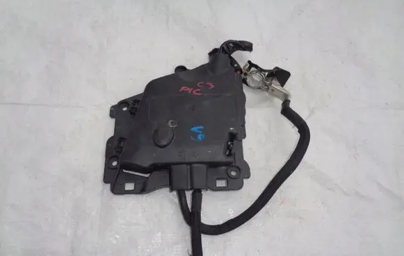 Citroen C3 Picasso Fuse module 9801147680
