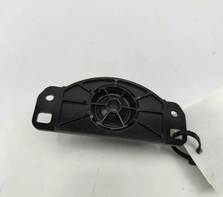 Panel speaker
