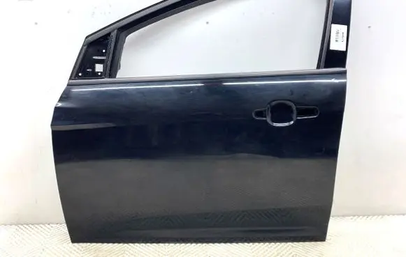 Ford Focus Front door 