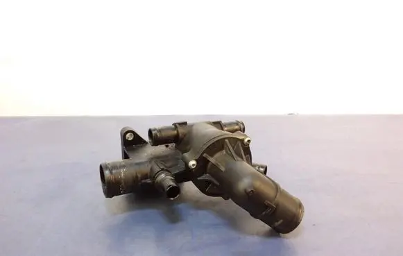 Renault Megane I Thermostat/thermostat housing 110618527R