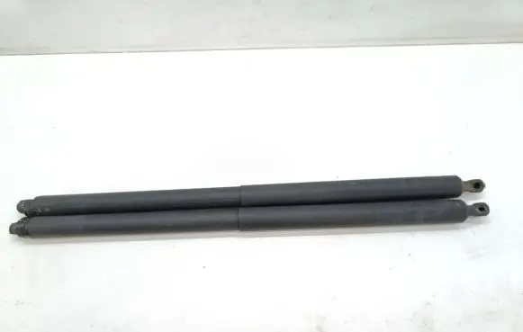 Opel Insignia A Tailgate/trunk strut/damper 13247949
