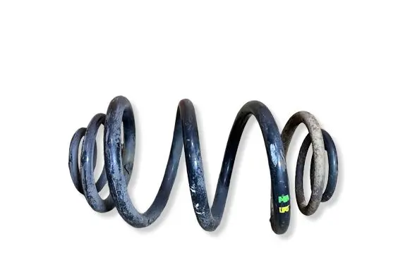 Renault Trafic III (X82) Rear coil spring 