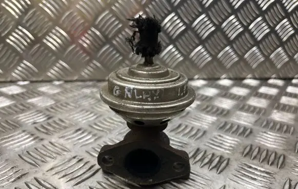 Ford Galaxy EGR valve