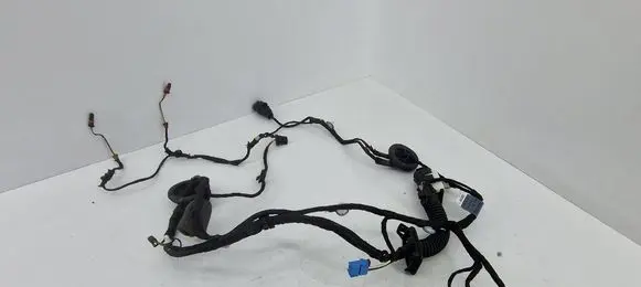 Audi A4 S4 B9 Front door wiring loom 8W0971029BL