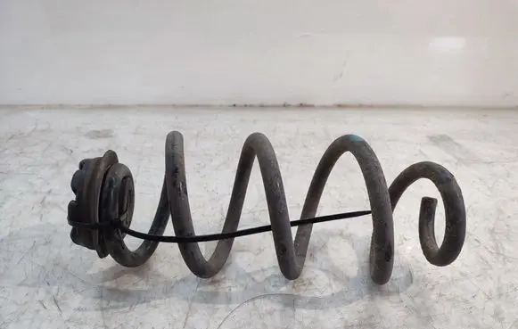 Rear coil spring