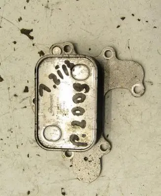 Peugeot 2008 II Coolant radiator 9839253380
