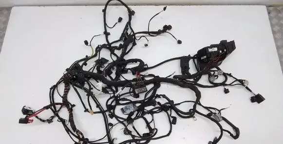 Volkswagen Atlas Engine installation wiring loom 3CN971230S 5Q0937125B