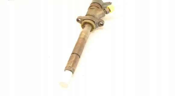 Ford Focus Fuel injector
