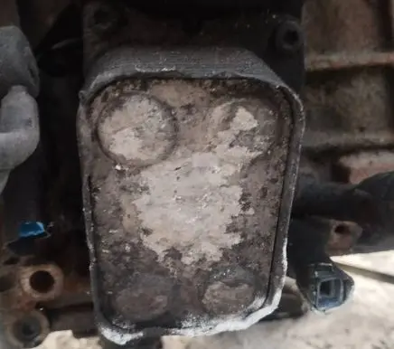 Engine oil radiator
