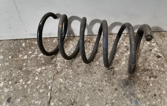 Rear coil spring