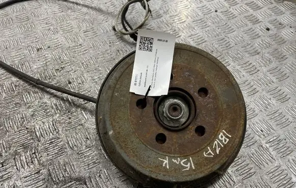 Seat Ibiza IV (6J,6P) Rear wheel hub