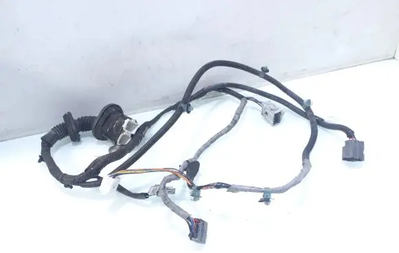 Front door wiring loom
