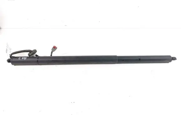 Ford Mach-E I Tailgate strut LJ8BR402A55AD