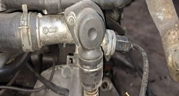 Audi A4 S4 B6 8E 8H Engine coolant pipe/hose 038121133A