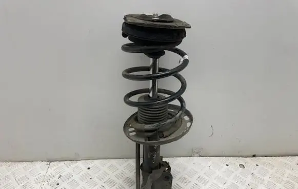 Renault Megane III Front shock absorber with coil spring 543020008R