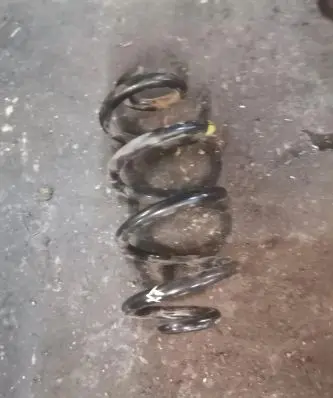Nissan X-Trail T31 Rear coil spring