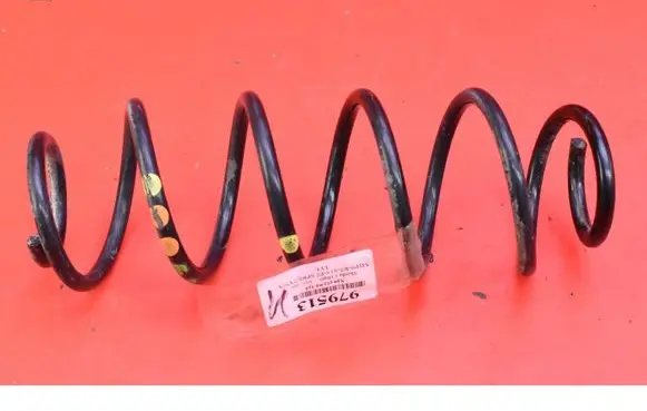 Rear coil spring