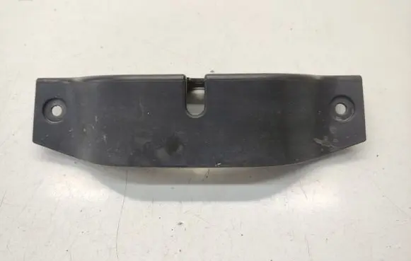 Engine bonnet/hood lock trim molding