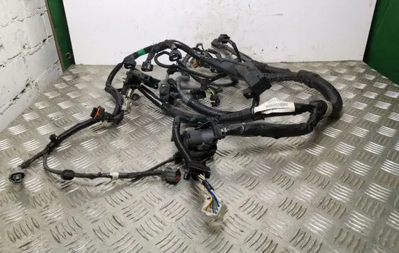 Suzuki SX4 S-Cross Other wiring loom 3665064R00