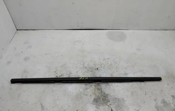 Rear door trim (molding)