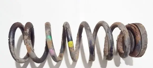 Hyundai Sonata Rear coil spring