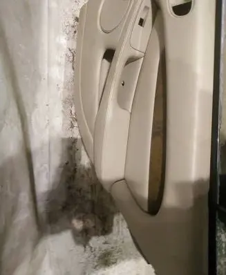 Jaguar X-Type Rear door card panel trim 