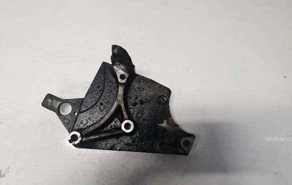 Renault Clio III Engine mounting bracket 8200408663