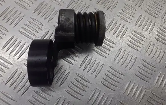 Skoda Fabia Mk1 (6Y) Alternator belt tensioner pulley 