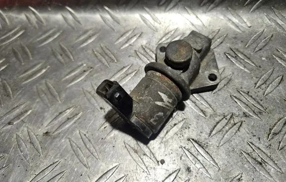 Ford Galaxy Idle control valve (regulator) 