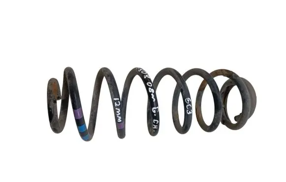 Rear coil spring