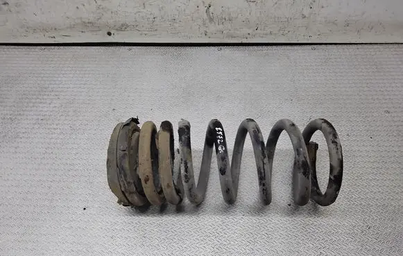 KIA Carnival Rear coil spring