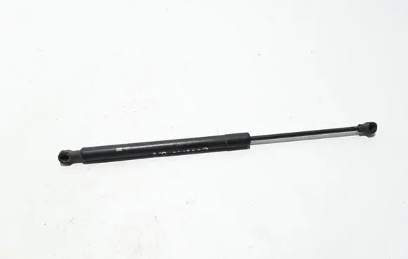 Tailgate strut